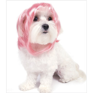 white dog pink wig